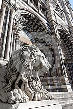 Lion statue of Saint Lorenzo church