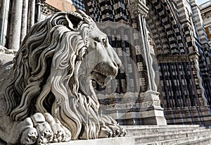 Lion statue of Saint Lorenzo church