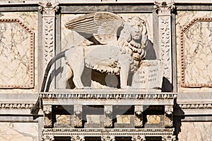 Lion Statue Saint Mark Place photo