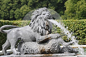 Lion Statue Spitting Water