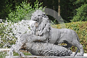 Lion Statue Spitting Water
