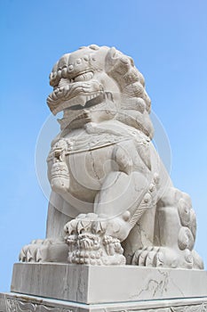 Lion statue