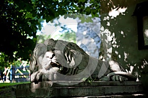 Lion statue in the streets of Lviv, Ukraine