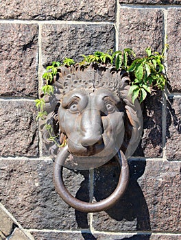 Lion at Stockholm City Hall on Kungsholmen