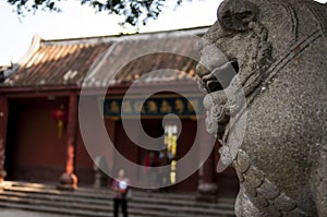 Lion, stone Lion, china stone Lion