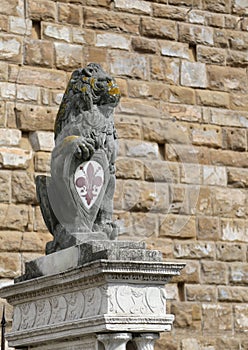 Lion with symbol of florence In Italy photo