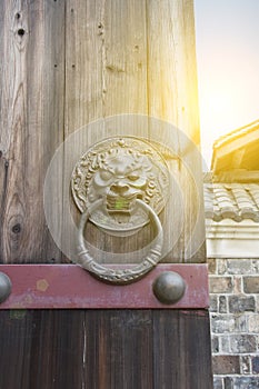 Lion-type knocker
