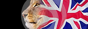 Lion and Union Jack