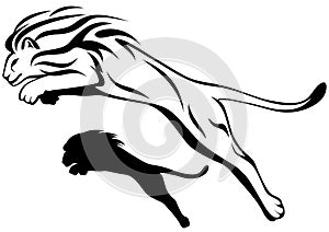 Lion vector photo