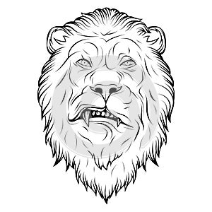 Lion. Vector illustration of a sketch roaring lion face. African wild animal