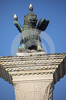 The Lion of Venice Column