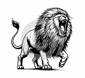 Lion vintage hand drawn illustration vector sketch style photo