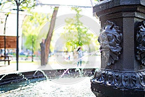 Lion water fountain in a park.