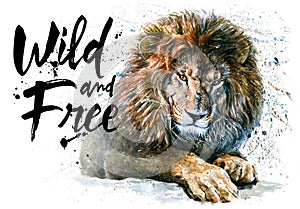 Lion watercolor painting predator animals King of animals wild & free