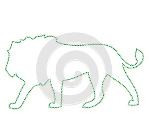 Lion on the white background walking