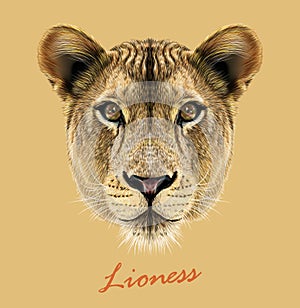 Lioness animal cute face. Vector African wild lion cat head portrait. Realistic fur portrait of lioness isolated on beige