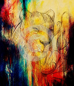 Lioness with flower, pencil drawing. Color effect and Computer collage.