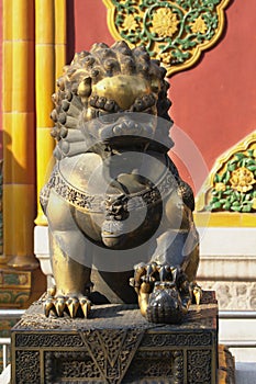Lioness in Forbidden City photo