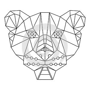 Lioness head polygonal isolated icon vector illustration design