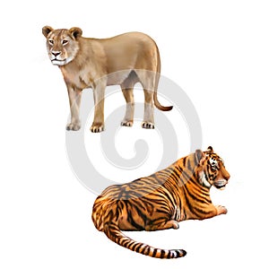 Lioness - Panthera leo, Bengal Tiger, tigris