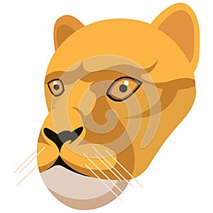 Lioness portrait made in unique simple cartoon style. Head of lion. Isolated icon for your design