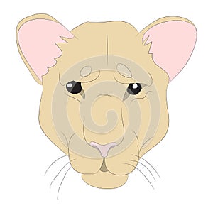Lioness portrait vector illustration, color drawing
