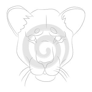 Lioness portrait vector illustration, lines drawin