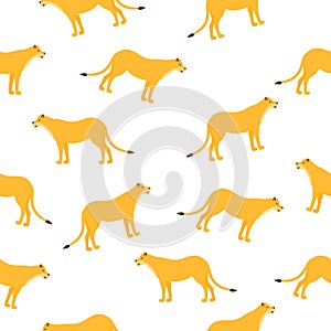 Lioness seamless pattern vector illustration on white background.