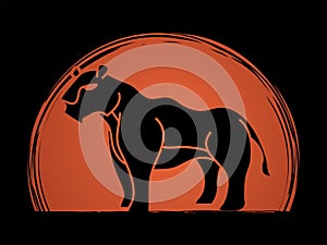 Lioness standing side view graphic vector