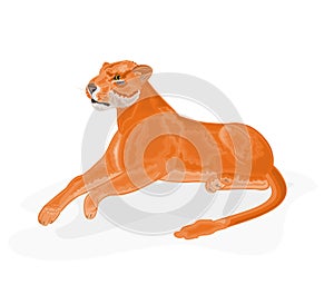 Lioness Vector Illustration