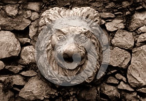 Lionface