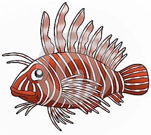 Lionfish photo