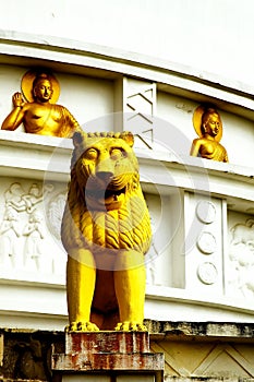Lions at Dhauli