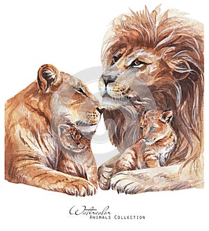 Lions family watercolor illustration.