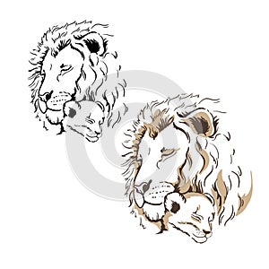 Lions Father and baby son. Lion cub. African animals. Line art. Close-up. Clip art. Hand Painting. Ink. Black and white. Vector