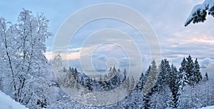 Lions Gate Bridge and Downtown Vancouver in winter with snow