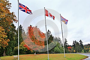 Lions Gate Bridge, Fall Color, Autumn leaves, City Landscape in Stanley Paark, Downtown Vancouver, British Columbia
