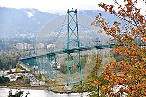 Lions Gate Bridge, Fall Color, Autumn leaves, City Landscape in Stanley Paark, Downtown Vancouver, British Columbia