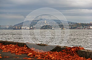 Lions Gate Bridge, Fall Color, Autumn leaves, City Landscape in Stanley Paark, Downtown Vancouver, British Columbia