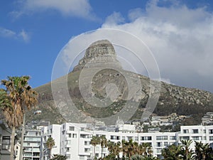 Lions Head seen from SeaPoint