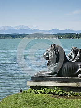 Lions at lake Starnberg