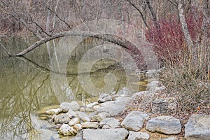 Lions Park Pond Reflection - Janesville, WI