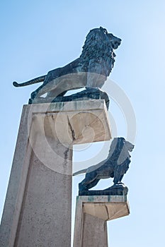 Lions of the Puente de Piedra in Zaragoza, Spain photo