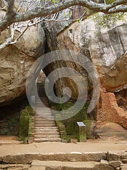 The Lions rock (Sigiriya) in Sri Lanka