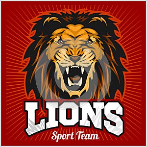 Lions - sport team logo template. Lion head on the shield. T-shirt graphic, badge, emblem, sticker. photo