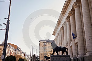 Lions statues and building of courthouse in Sofia, Bulgaria