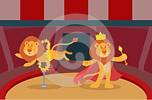 Lions trick animal fire performance in circus arena vector illustration.