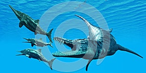 Liopleurodon attacks Ichthyosaurus