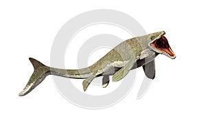 Liopleurodon, extinct giant aquatic lizard 3d illustration isolated on white background