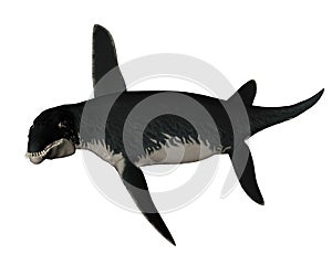 Liopleurodon prehistoric fish - 3D render